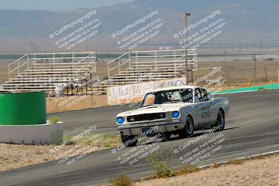 media/May-07-2022-Cobra Owners Club of America (Sat) [[e681d2ddb7]]/White/Session 1 (Turn 4)/